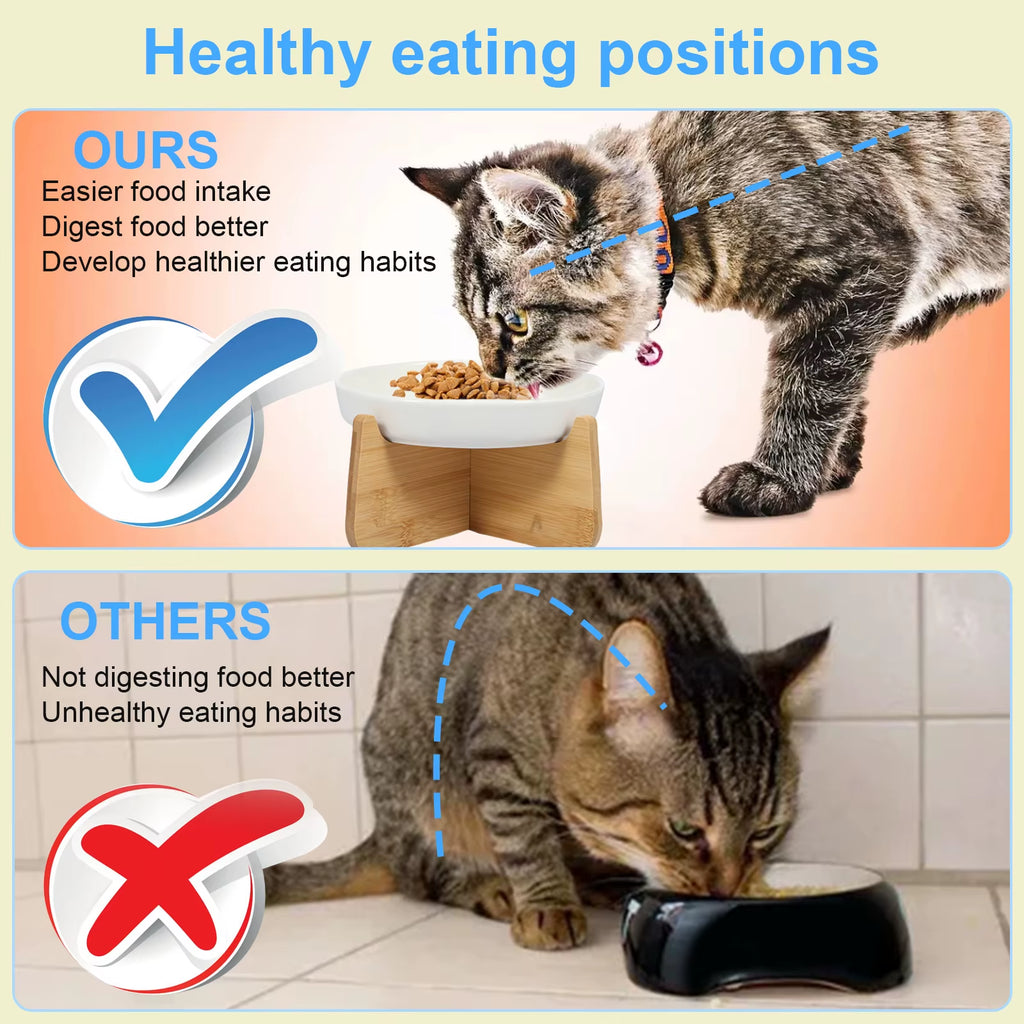 Raised Cat Bowl Elevated Cat Bowls with Wood Stand Ceramic Slow Feeder Bowl Cat Feeding Bowl anti Vomiting Cat Food Bowl Non-Sli